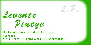 levente pintye business card